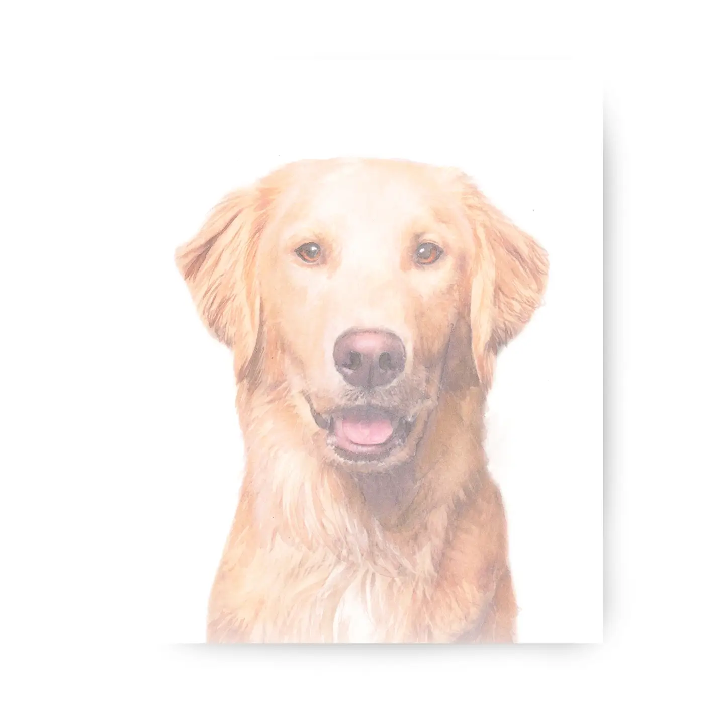 5x7 Golden Retriever Print