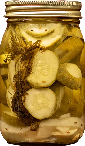 Coin Cut What'cha Dill Pickles - Image 3