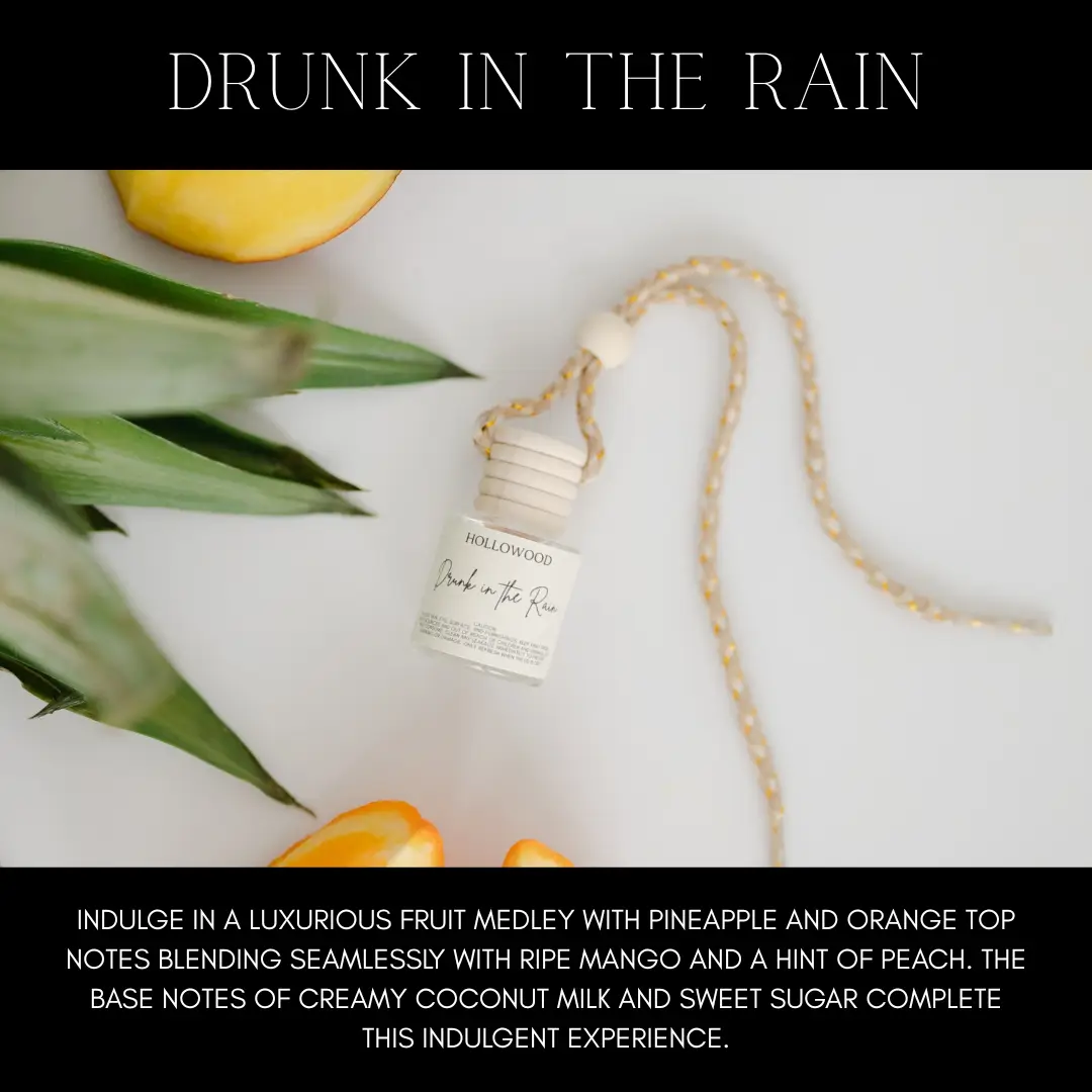 Drunk in the Rain Car Diffuser