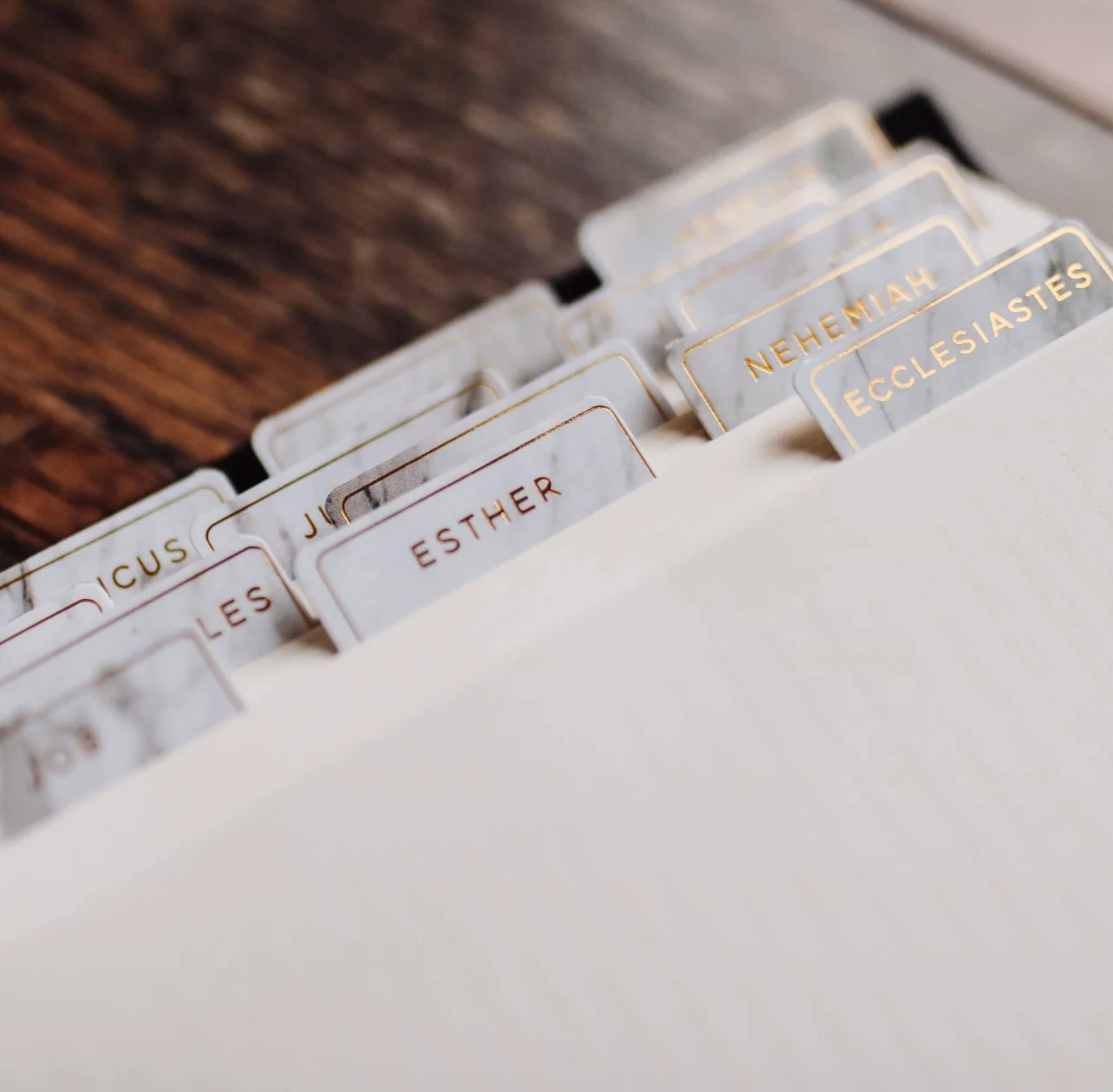 Marble Bible Tabs