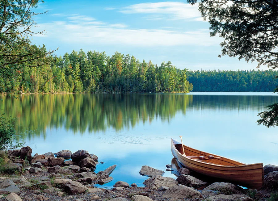 Nature's Mirror Puzzle - Image 2