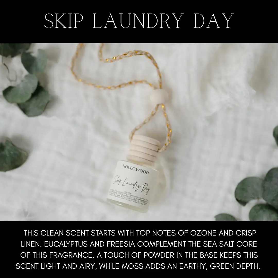 Skip Laundry Day Car Diffuser