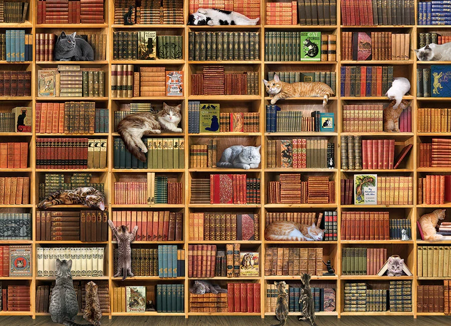 The Cat Library Puzzle - Image 2